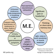 Simplified ME International Consensus Criteria symptoms.